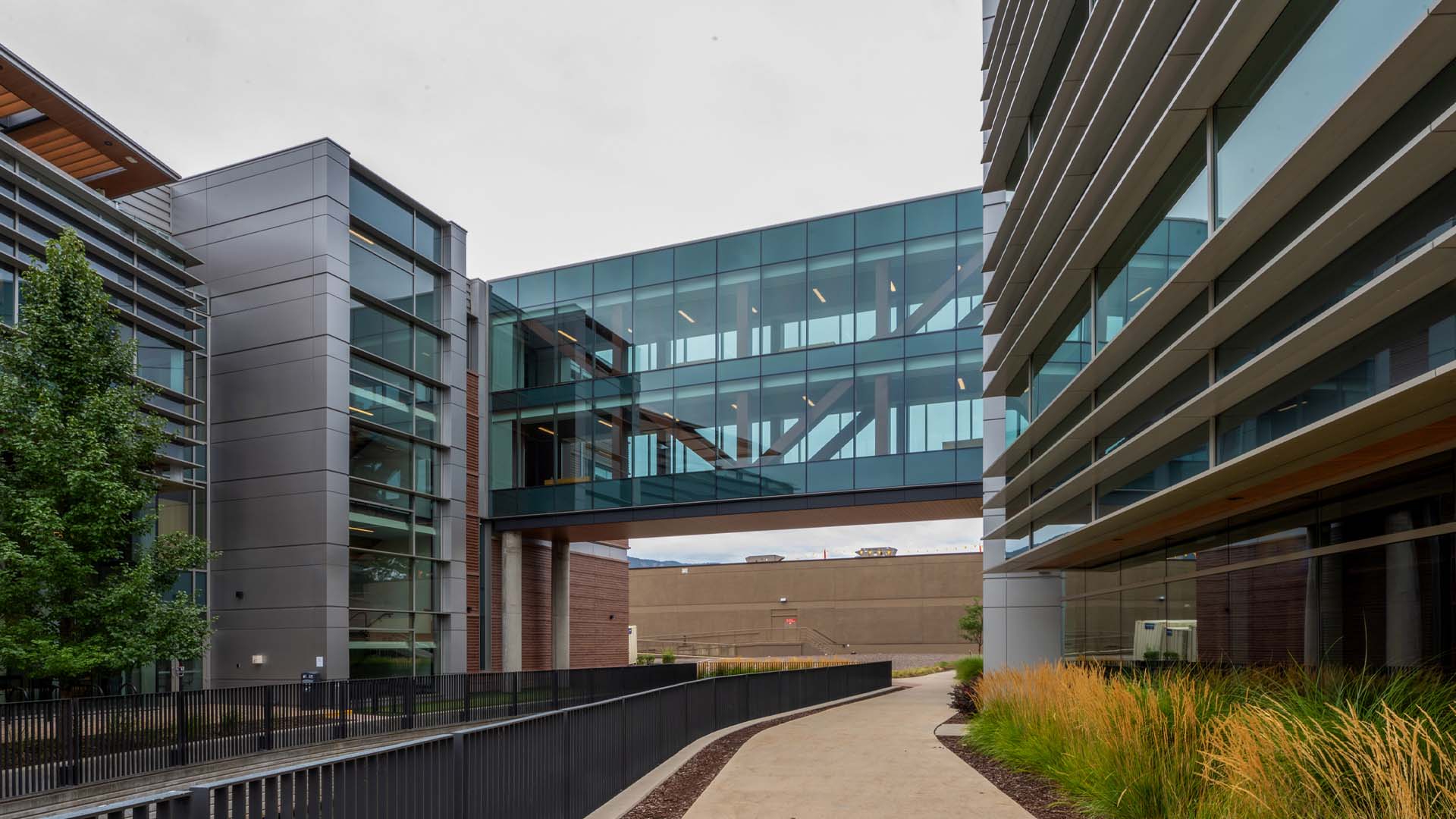 Horizon-Glass-Google-Campus-Pearl-Place-Boulder-windows-walkway